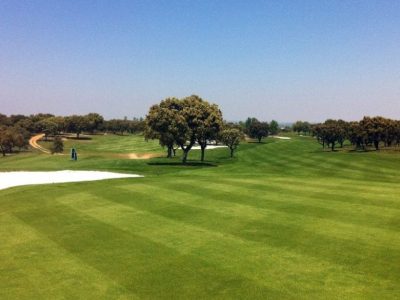 90a86d88-f159-4403-e386-13b7bb8ba134-1024x628